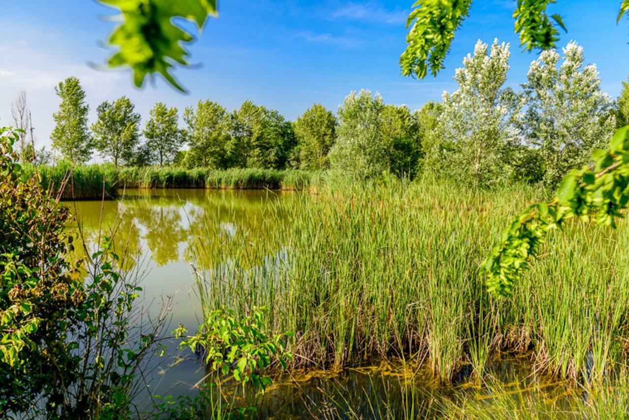 Agriturismo Tenuta Regina - Glamping luxury lodges Palazzolo dello Stella Bagian luar foto